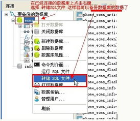Navicat 高效、強(qiáng)大的跨平臺(tái)數(shù)據(jù)庫管理工具