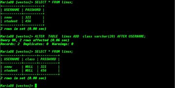 MySQL數(shù)據(jù)庫運(yùn)維管理 核心策略與實(shí)踐方法